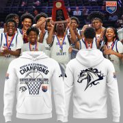2A Boys Basketball Champions 2026 Commemorative Hoodie Ver2