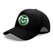 CSUW Basketball Champions Collector Hoodie Ver2 - Image 3