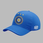 ICC Men’s T20 World Cup Champions Limited Hoodie - Image 3