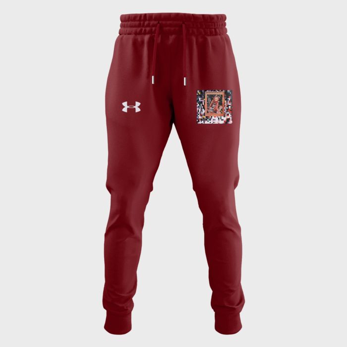 Limited Edition South Carolina Gamecocks WBB NCAA Fan Hoodie - Image 2
