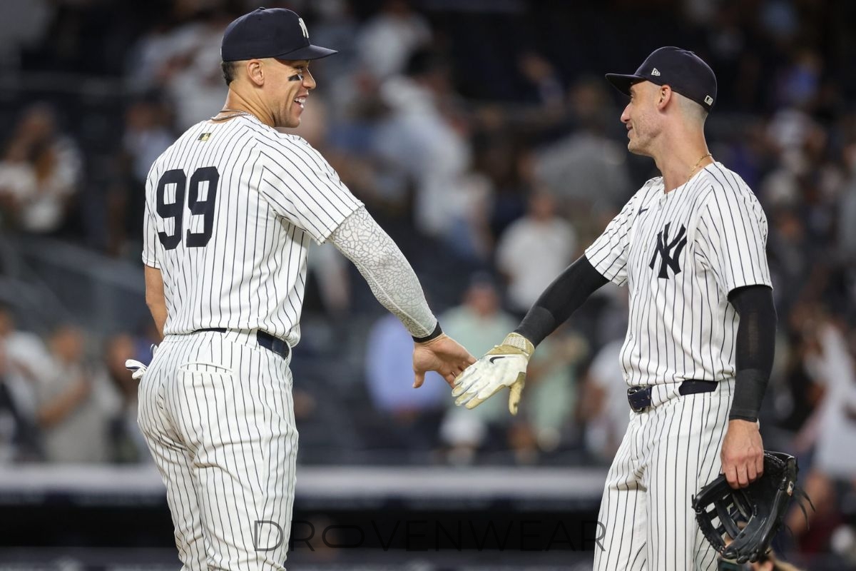 Yankees vs Nationals: A Recent Game Recap and What It Means for Fans